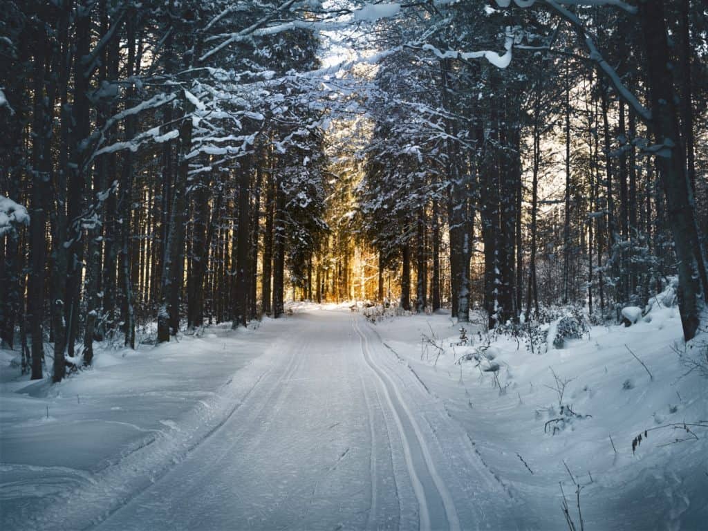 Snow On A Road